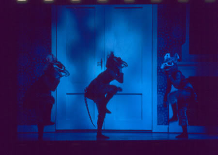 Foto: Het Muziektheater